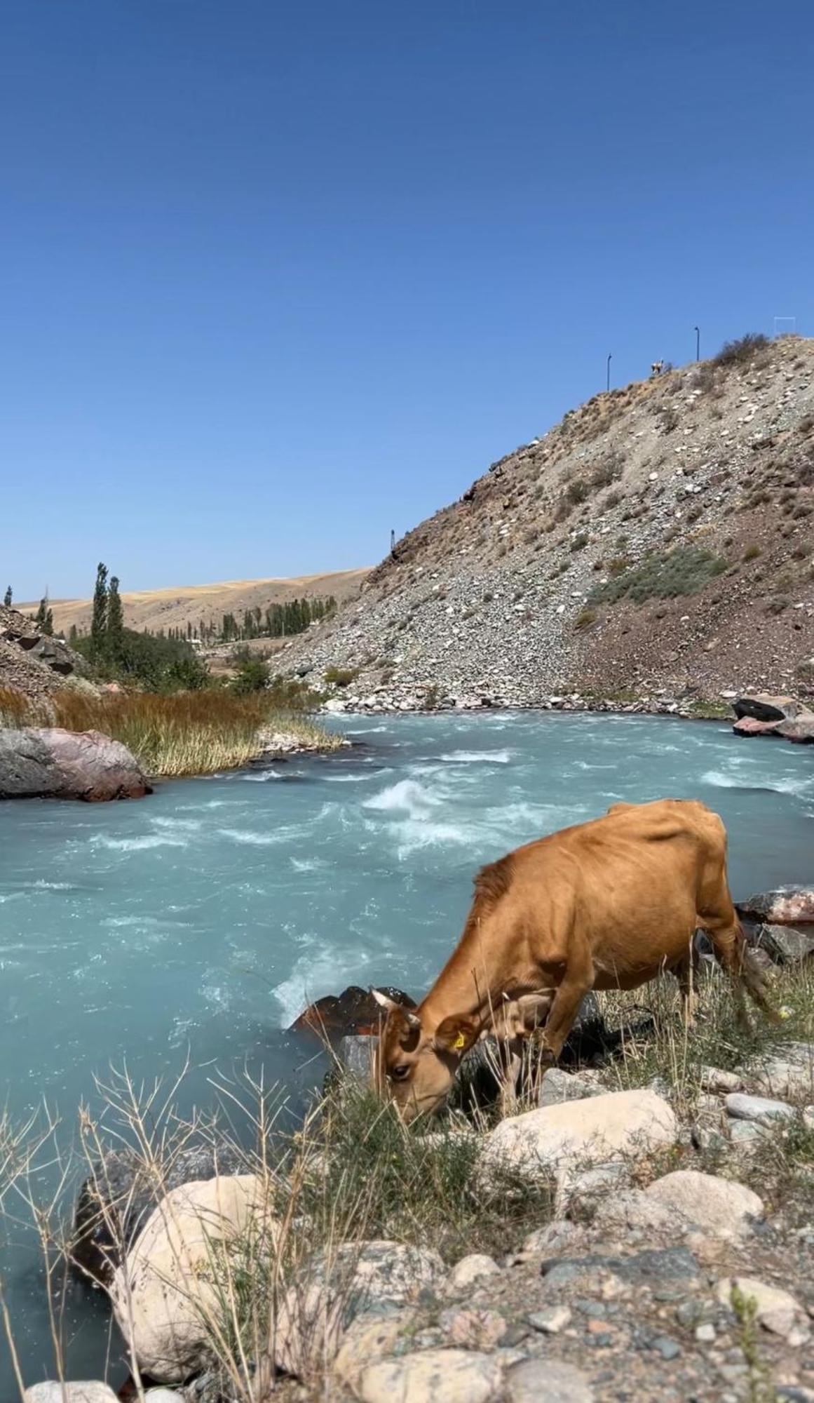 Mountain View Hot Spring Resort Bishkek Exteriör bild