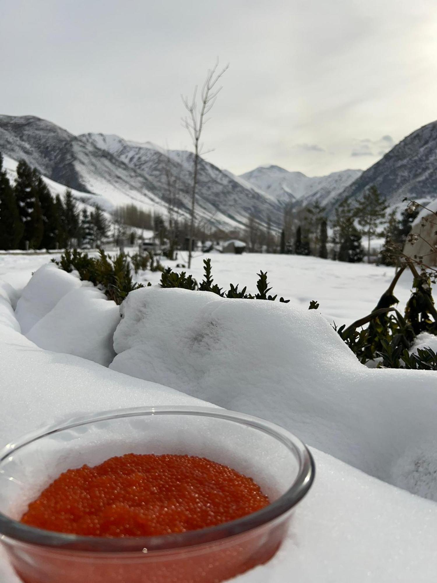 Mountain View Hot Spring Resort Bishkek Exteriör bild